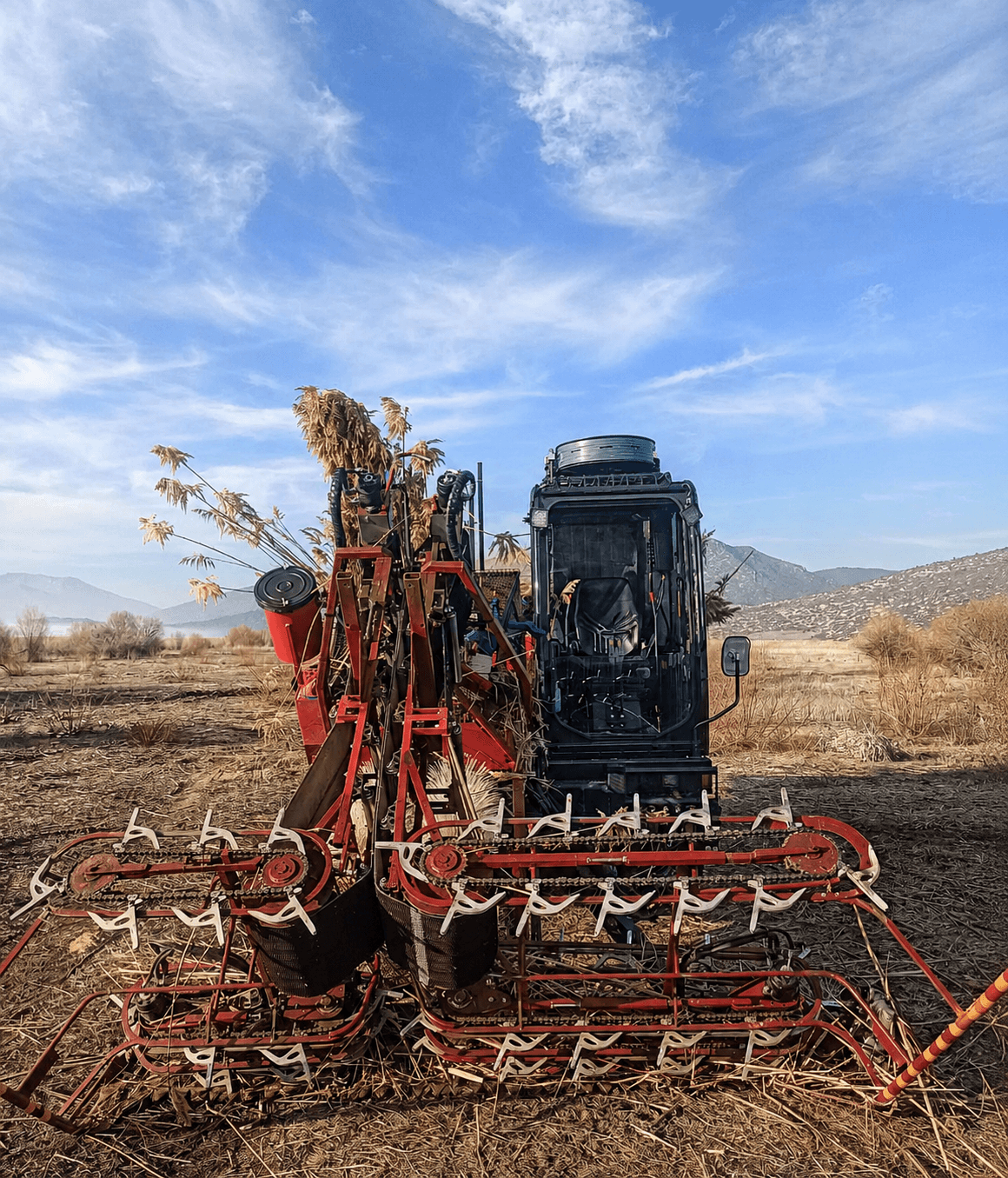 Dutch industrial pallet harvester operating in Turkish reed fields