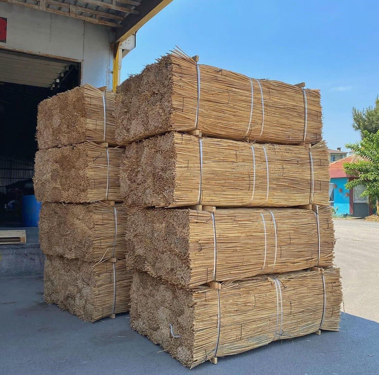 Reed fencing palletised outdoors