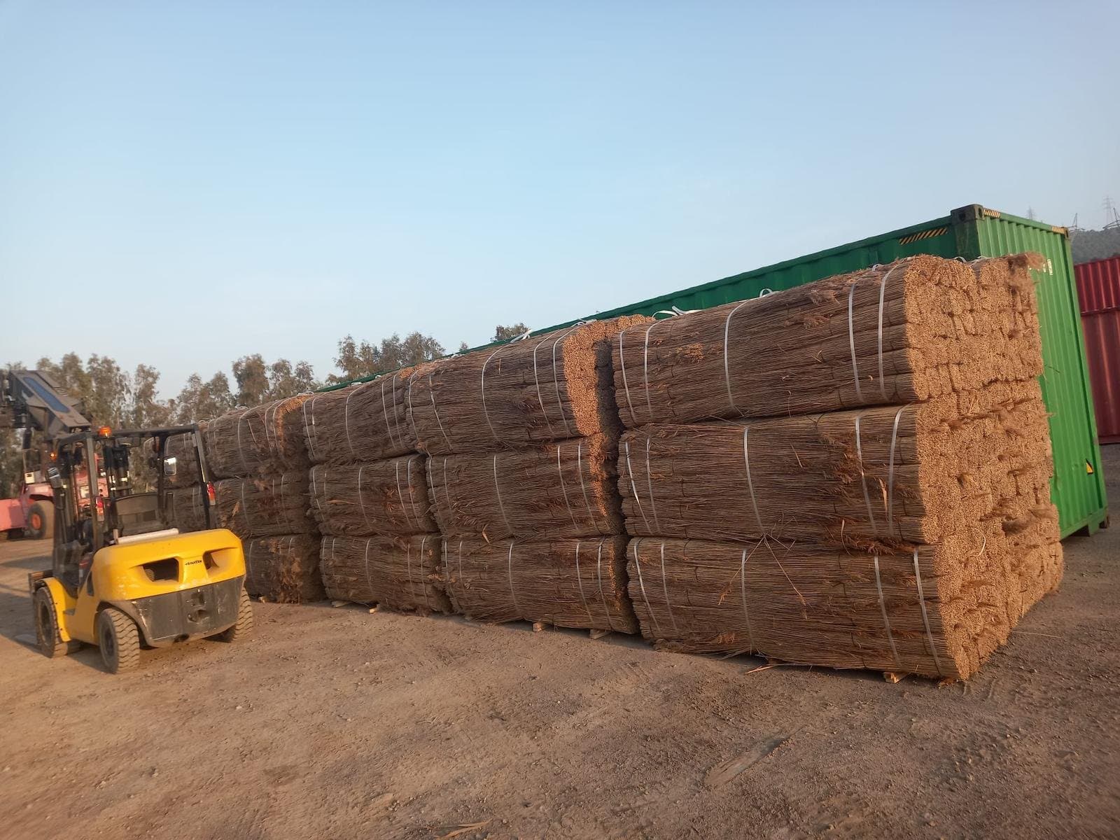 Reed fencing bales ready for container