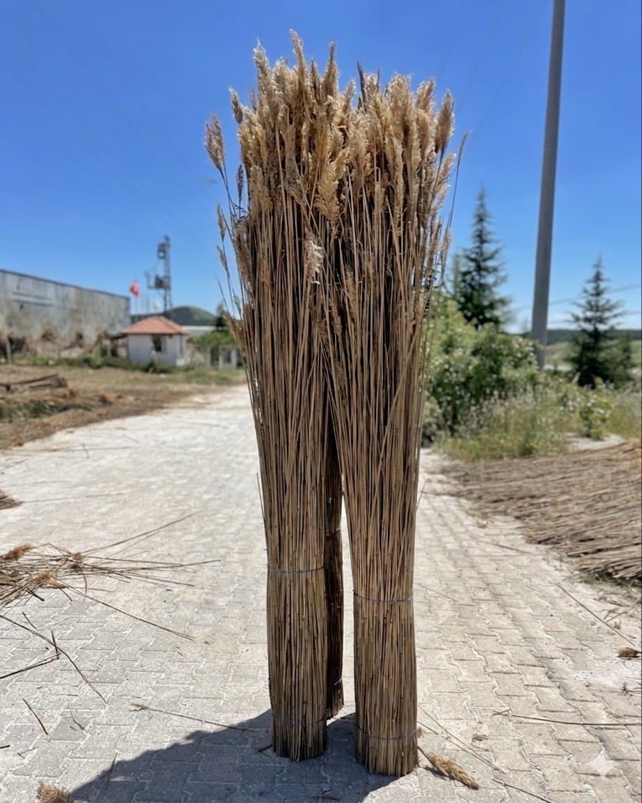 Thatching reed bundles stacked indoors