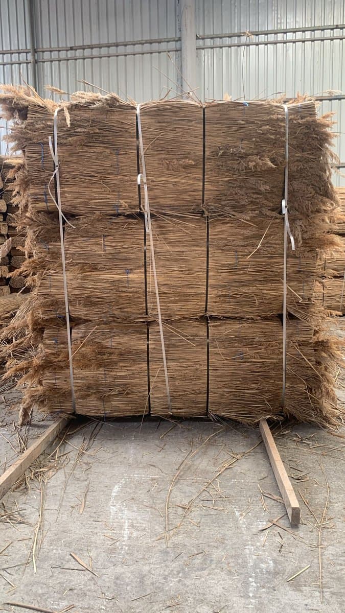 Thatching reed palletised bundles