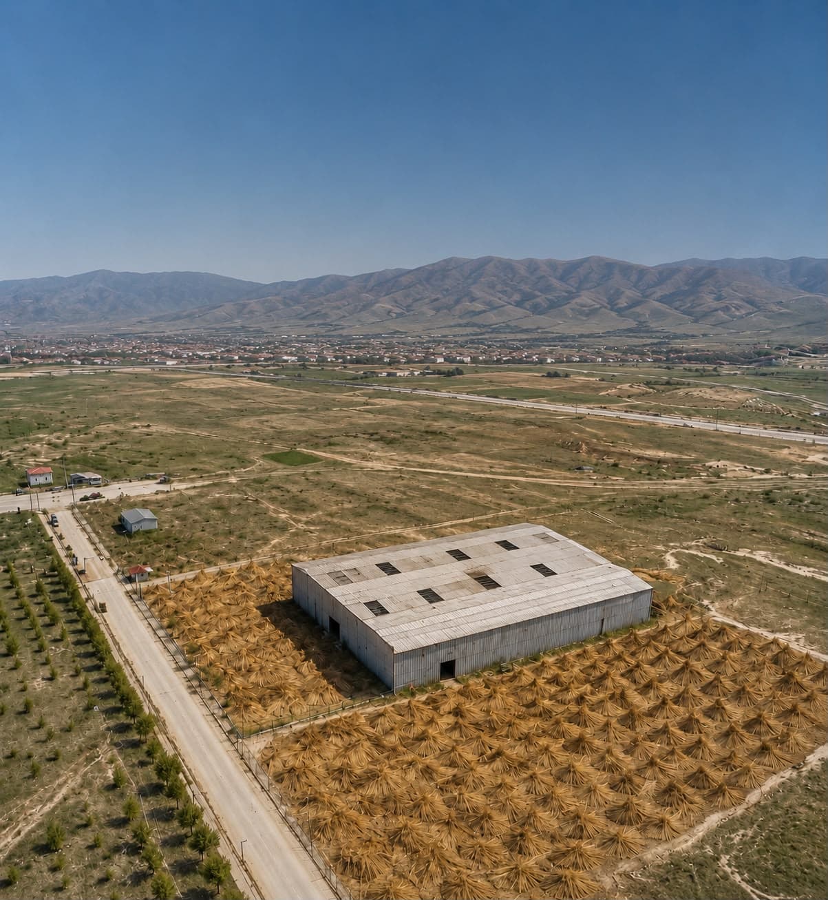 Aerial view of Macs Reed production facility in Afyon, Turkey surrounded by drying reed bundles