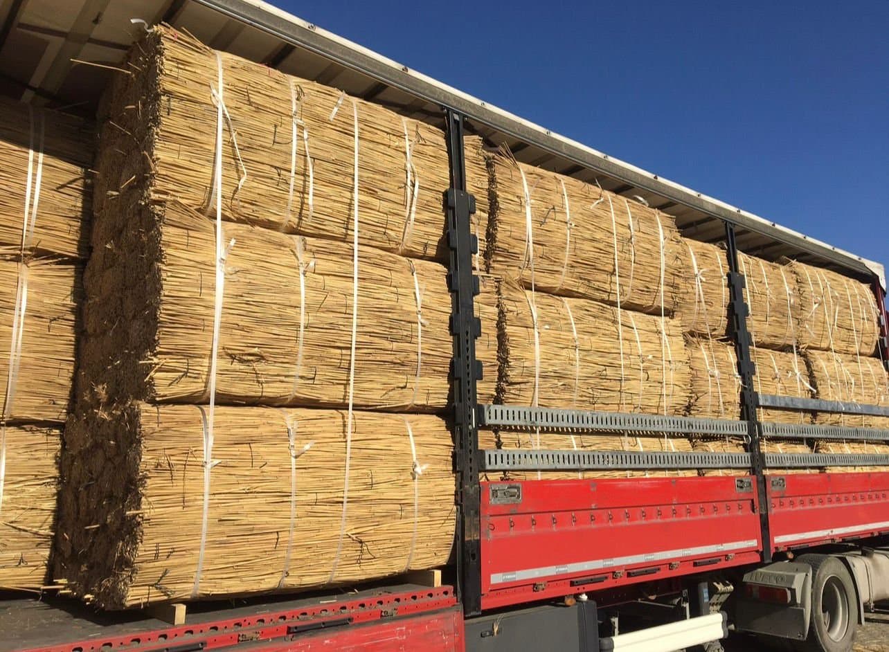 Reed Fencing — Calibrated reed for clean, uniform fencing