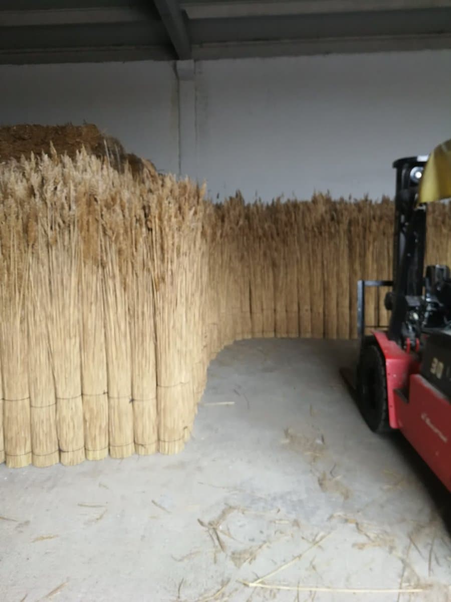 Thatching Reed — Premium master-class roofing material from Türkiye